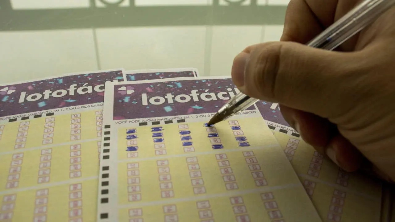 lotofacil caixa jogo aposta loterias
