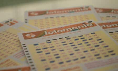 lotomania jogo loteria dinheiro