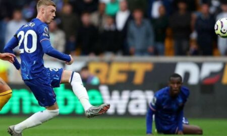 palmer chelsea