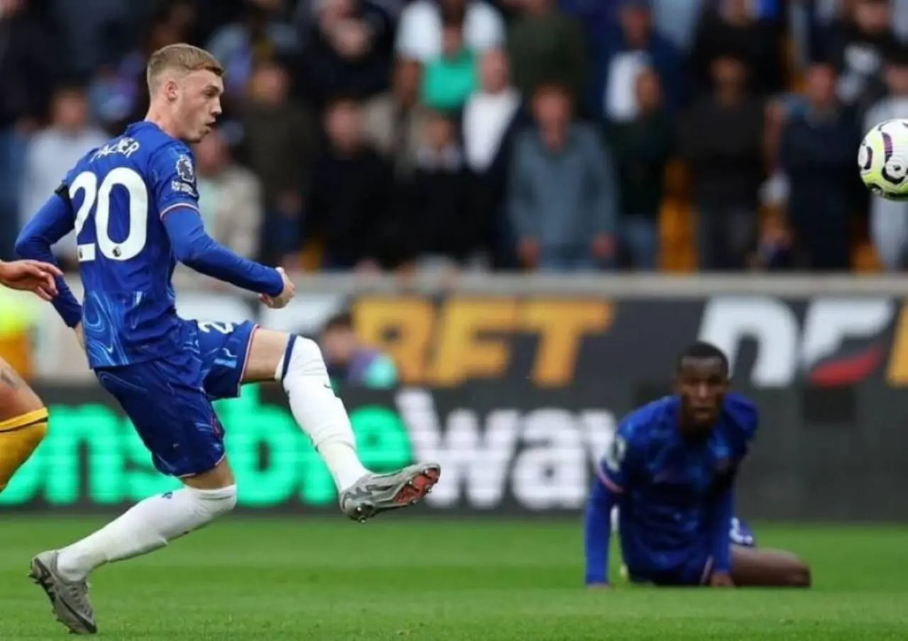 palmer chelsea