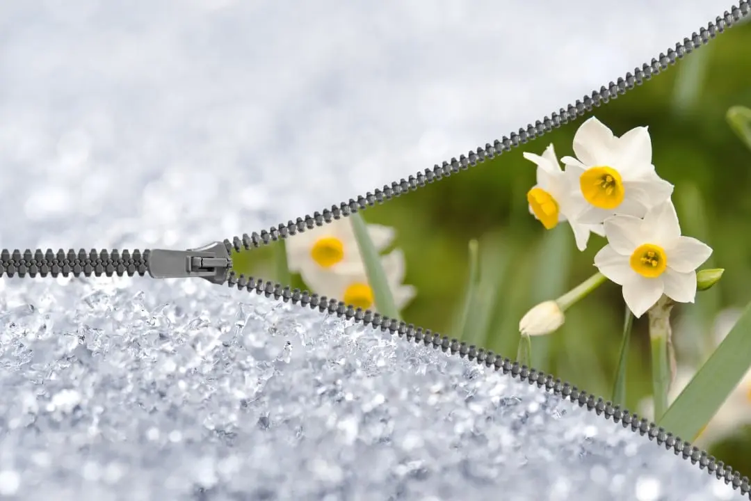 Chegada da Primavera