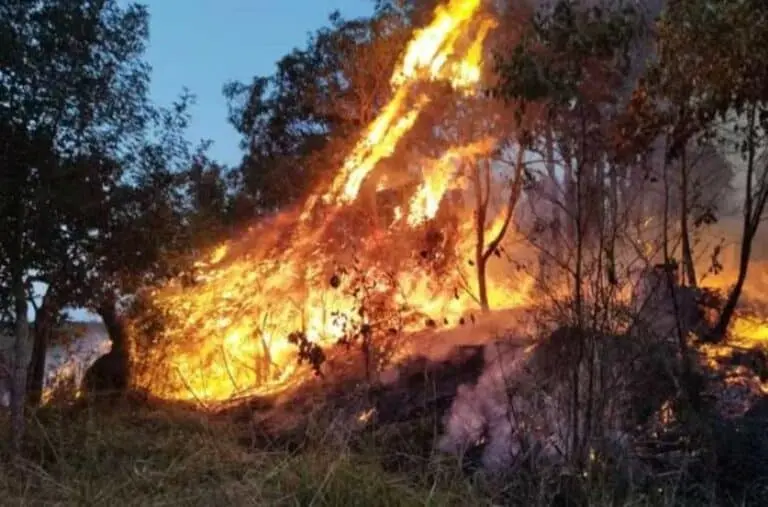 queimada sao luiz paraitinga