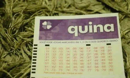 quina caixa jogo aposta loterias