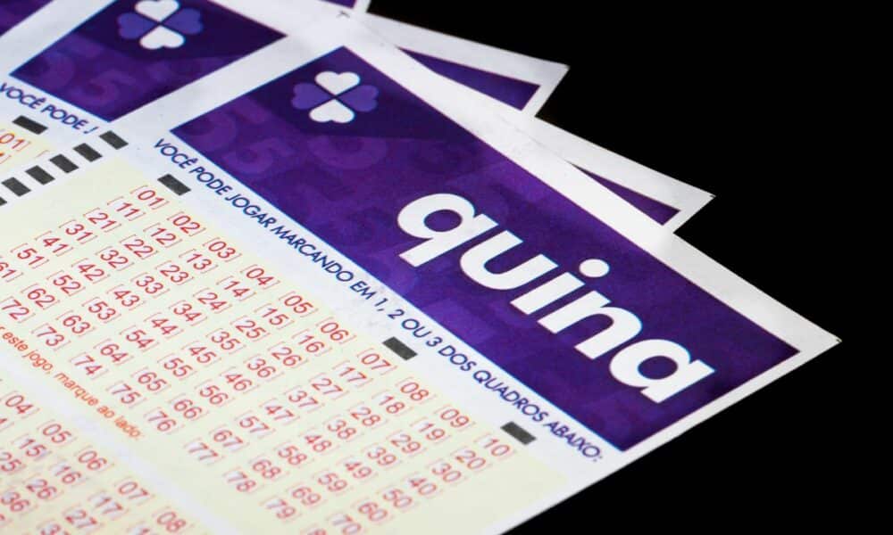 Quina 6547: confira os números sorteados hoje