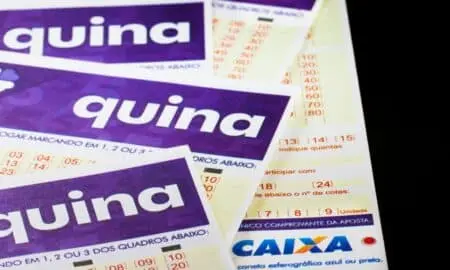 quina loteria