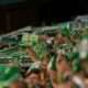 real betis