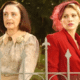 Alma Gemea novela