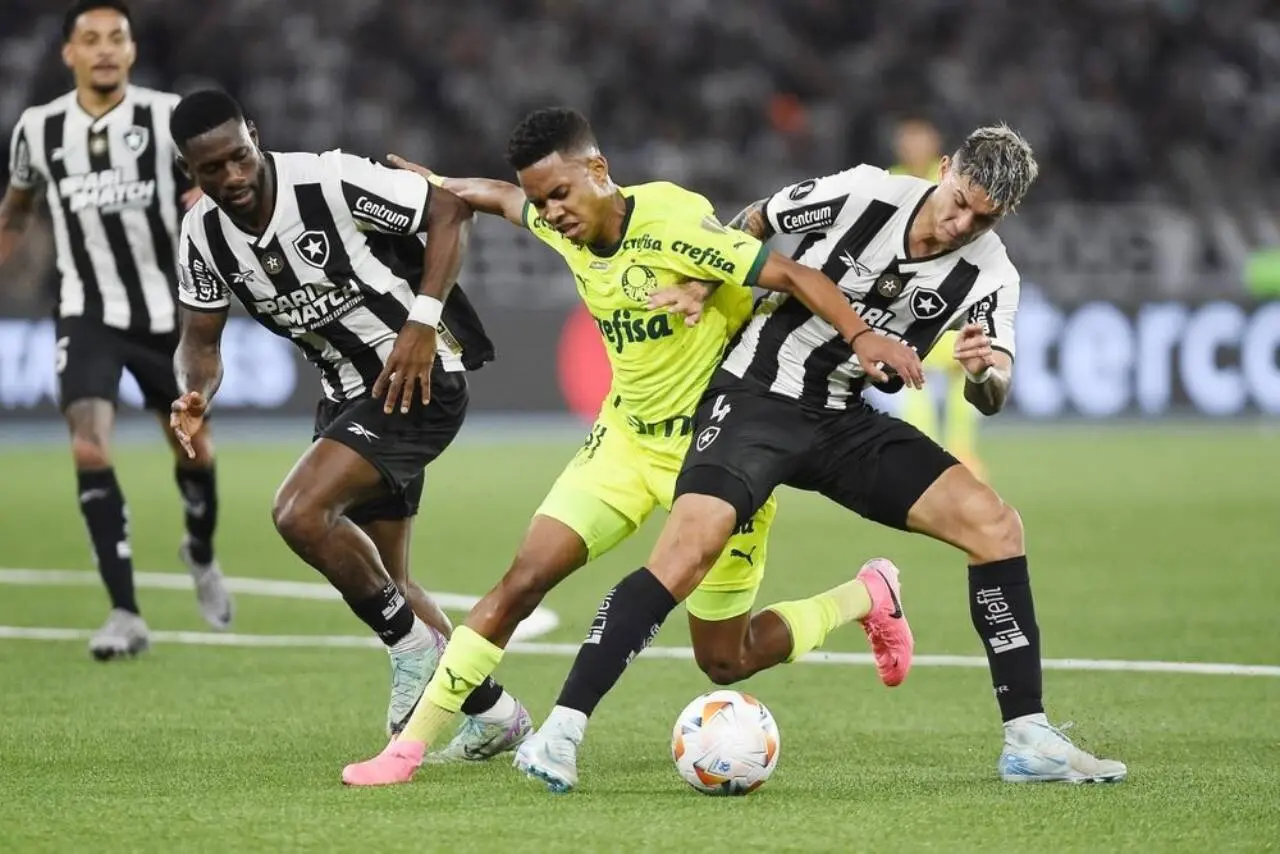 Botafogo Palmeiras