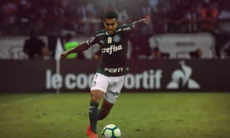 Dudu Palmeiras