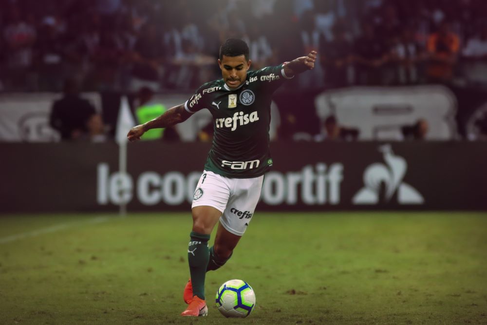 Dudu Palmeiras