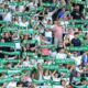 Elche