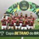 Flamengo Copa do Brasil