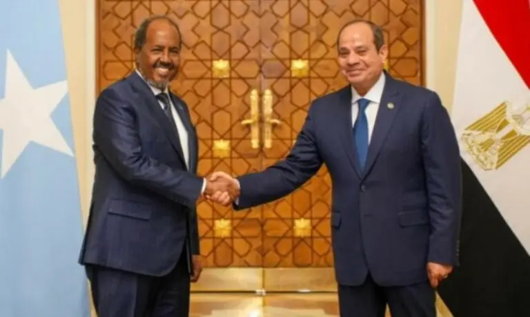 Hassan e Abdel Fattah