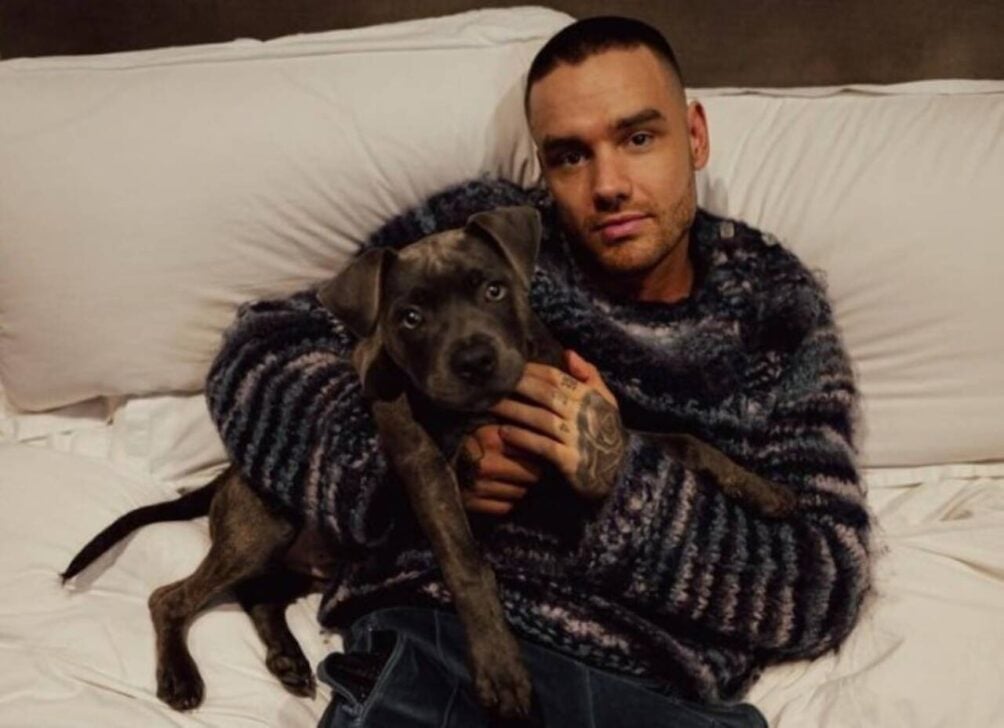 Liam Payne
