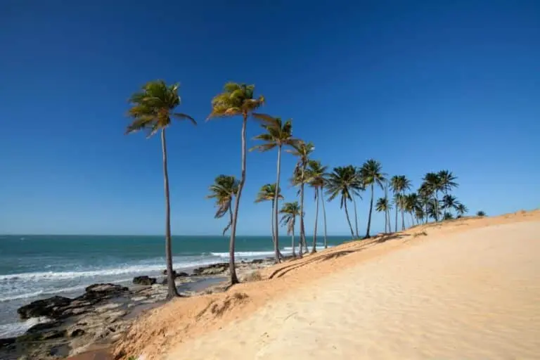 Nordeste