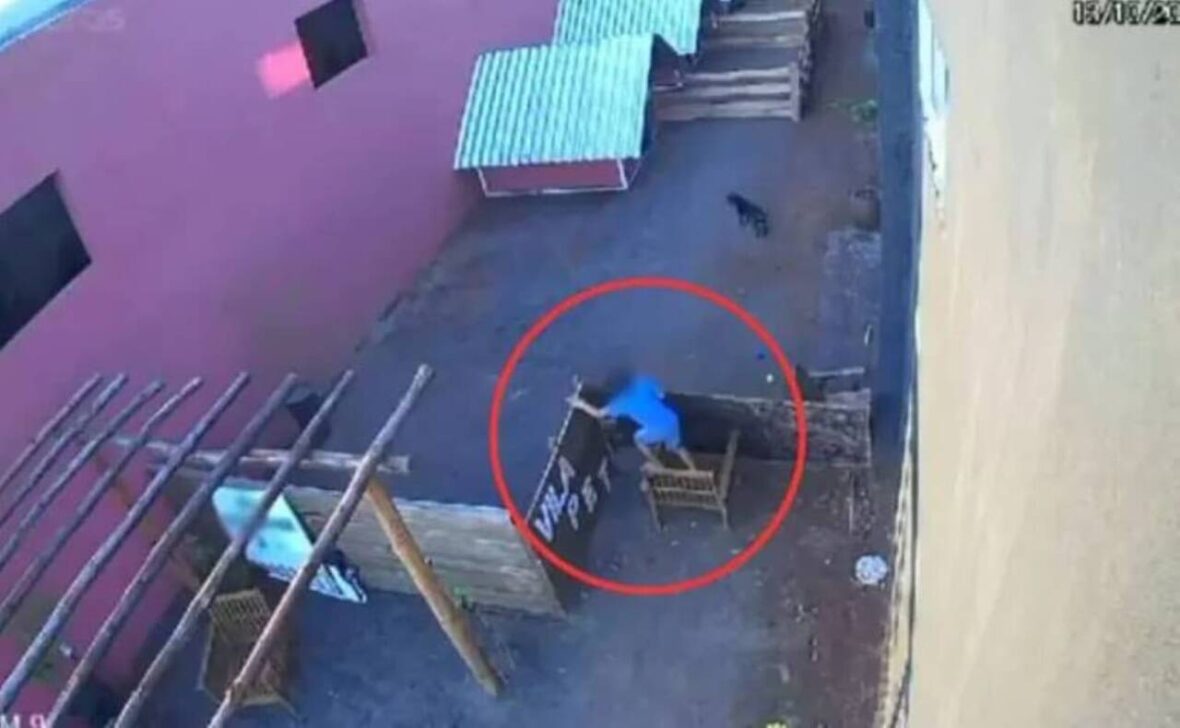 criança de 9 anos cachorro