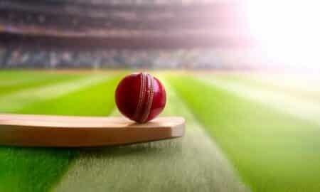 Cricket