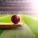 Cricket