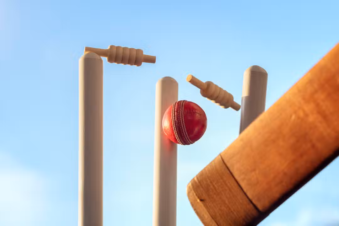 Cricket