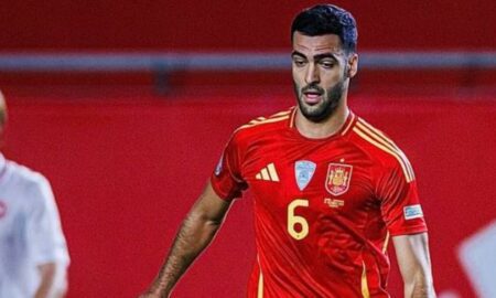 merino