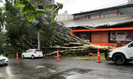 porto alegre ventoss