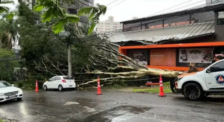 porto alegre ventoss