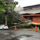 porto alegre ventoss