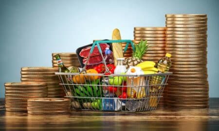 Auxílio alimentação