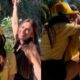 Anitta e o Namorado na Disney