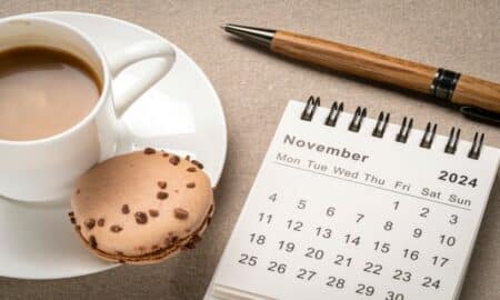 Calendário novembro