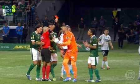 Cartão Vermelho e Var Palmeiras x Botafogo