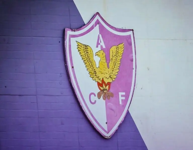 Centro Atlético Fénix