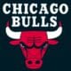 Chicago Bulls