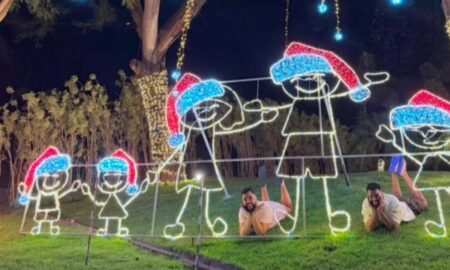 Decoração de Natal, Virgínia Fonseca