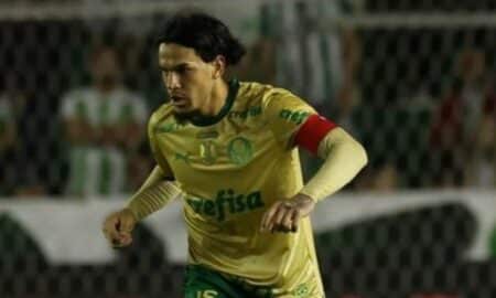 Gustavo Gomes Palmeiras