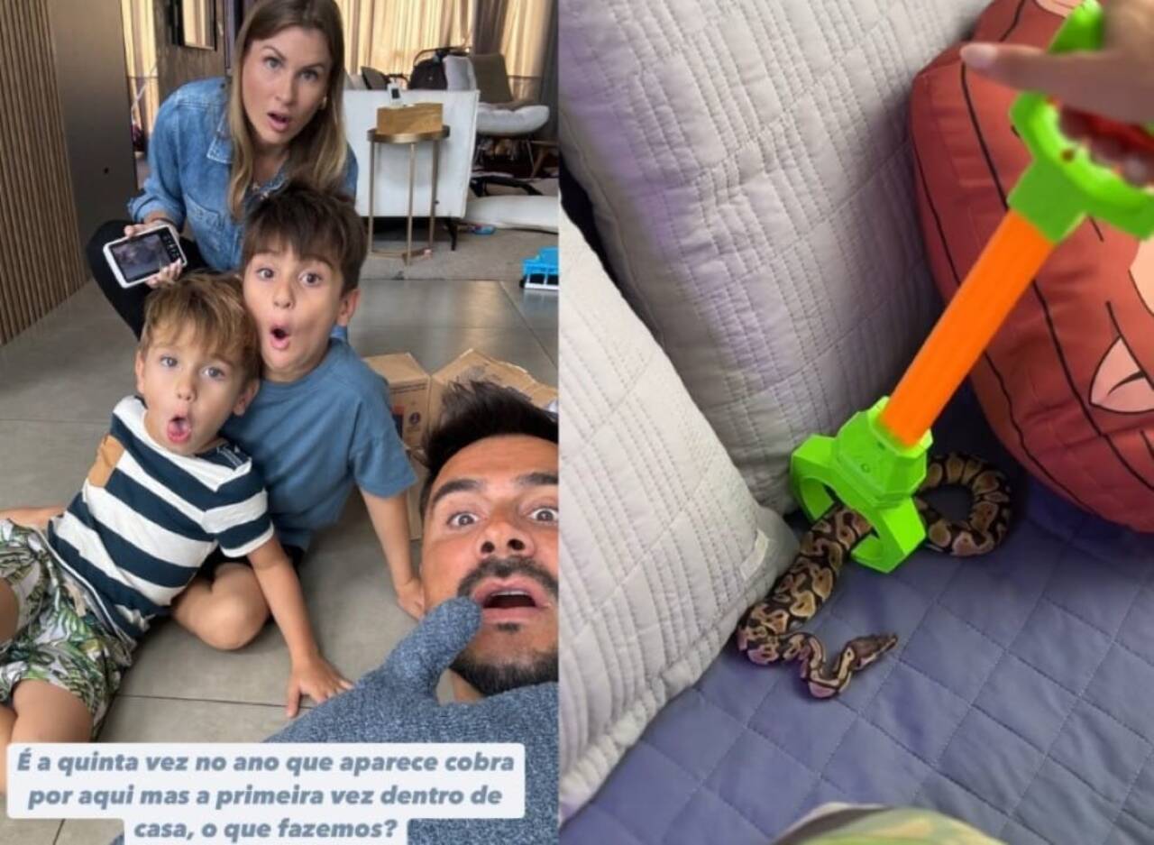 Susto na casa de Julio Rocha: ator encontra cobra na cama dos filhos