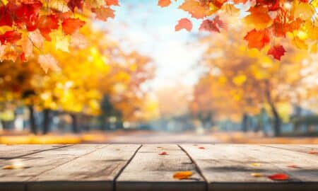 Mês de novembro