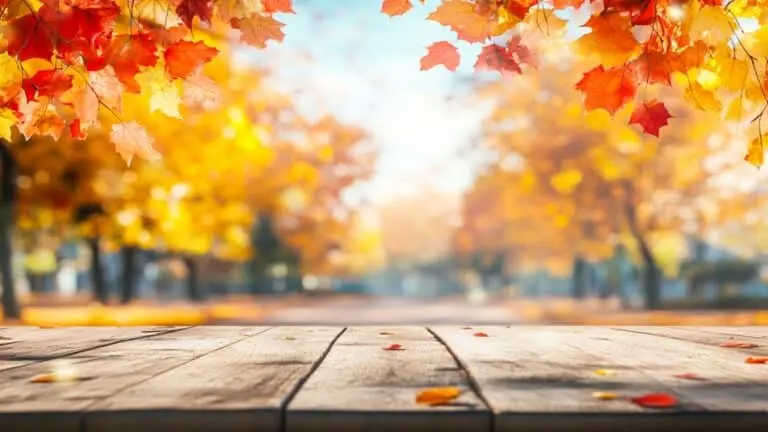 Mês de novembro