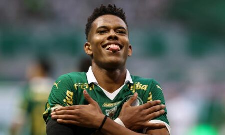 Palmeiras estevão