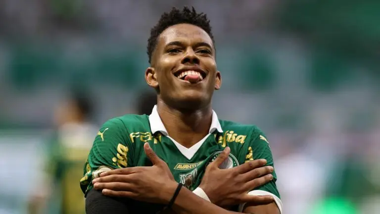 Palmeiras estevão