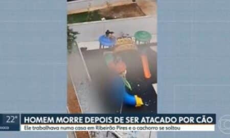 Pedreiro morto por Pitbull
