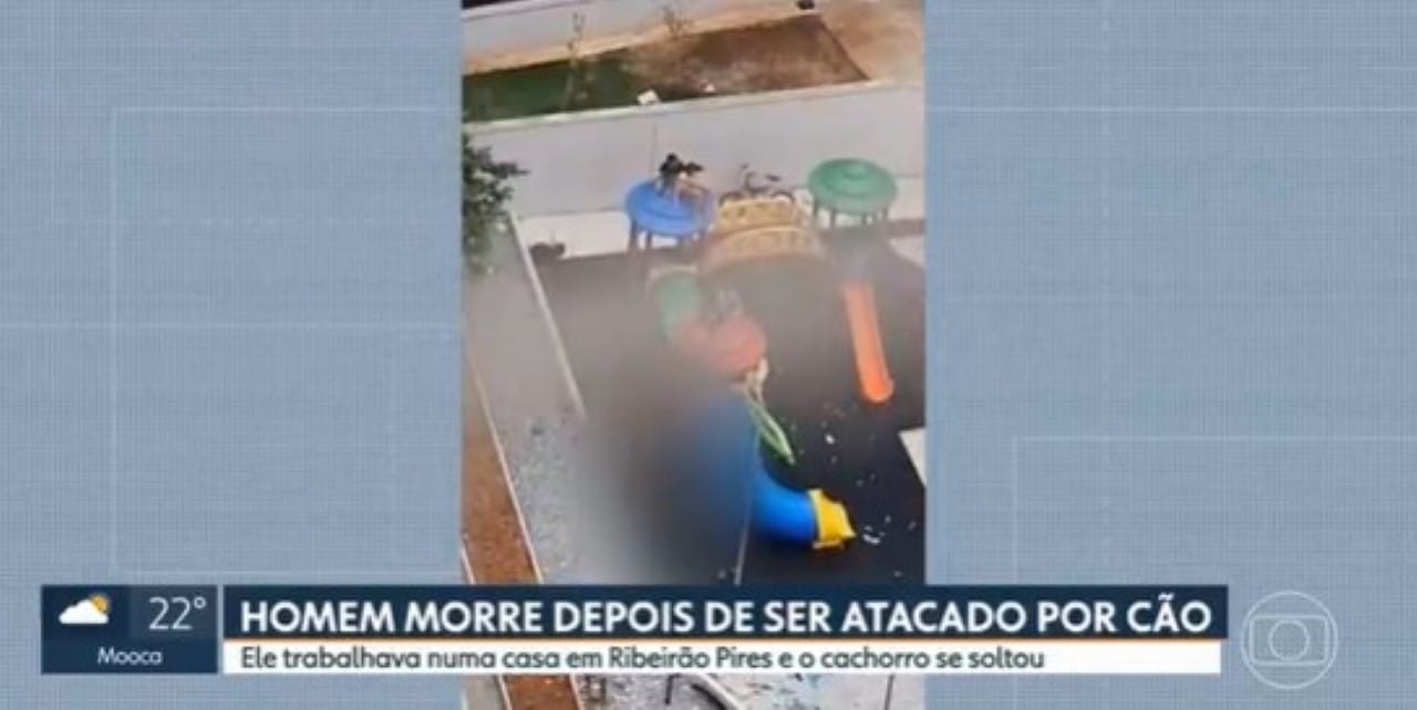 Pedreiro morto por Pitbull