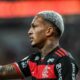 Wesley Flamengo