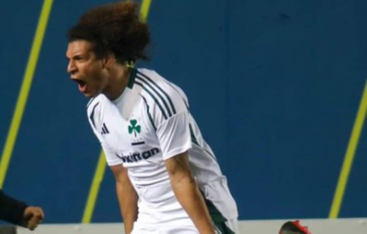 Willian arao