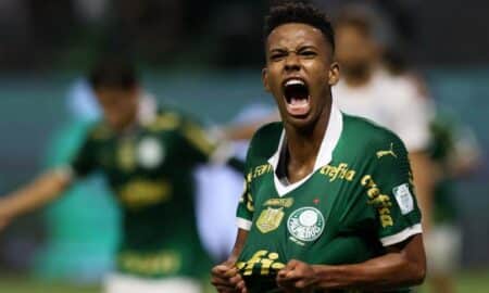 estevao palmeiras cbf