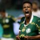 estevao palmeiras cbf