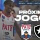 pato basquete - Foto: Instagram