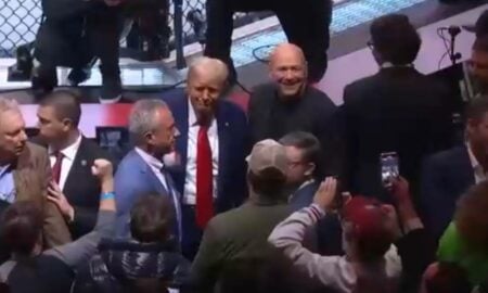 trump ufc 309