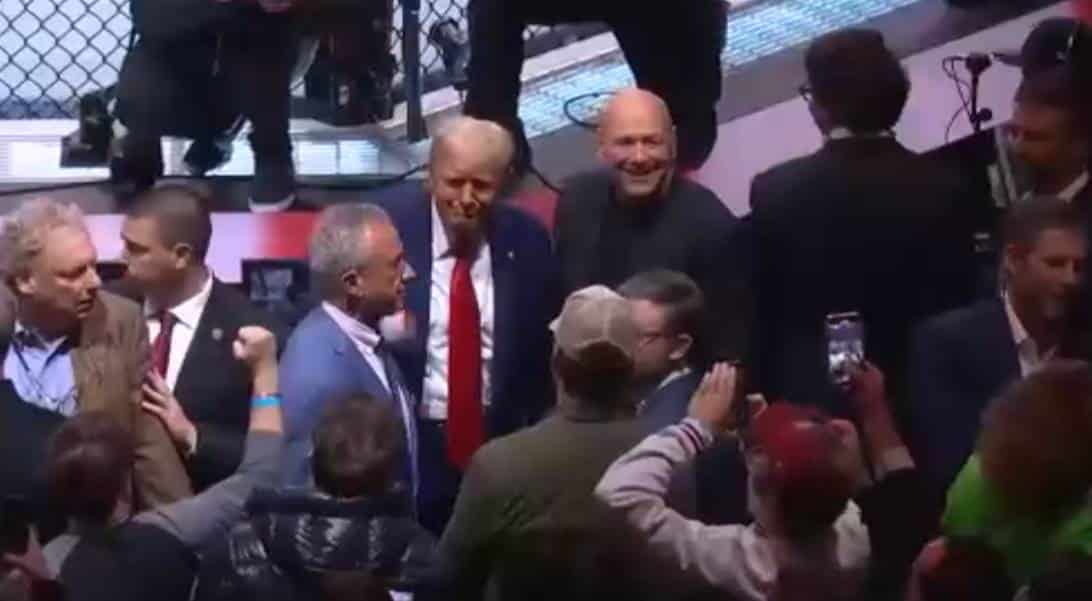 trump ufc 309