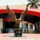 Al Ahly